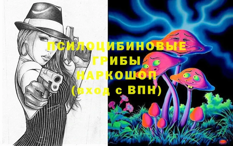 Галлюциногенные грибы Psilocybine cubensis Онега